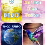 UNIS-UNID@S-UNITED-2024